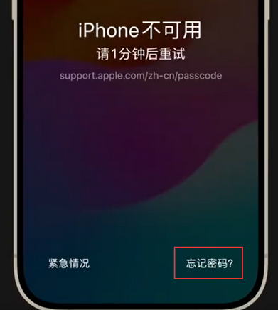 郧西苹果手机密码维修分享iPhone忘记了刚设置的密码 